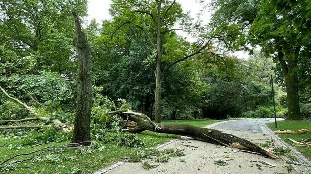 Zniszczenia po burzy w regionie Strażacy interweniowali 603 razy