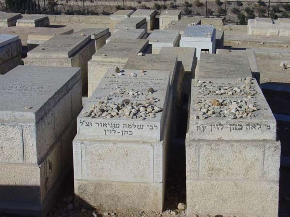  Cmentarz zydowski