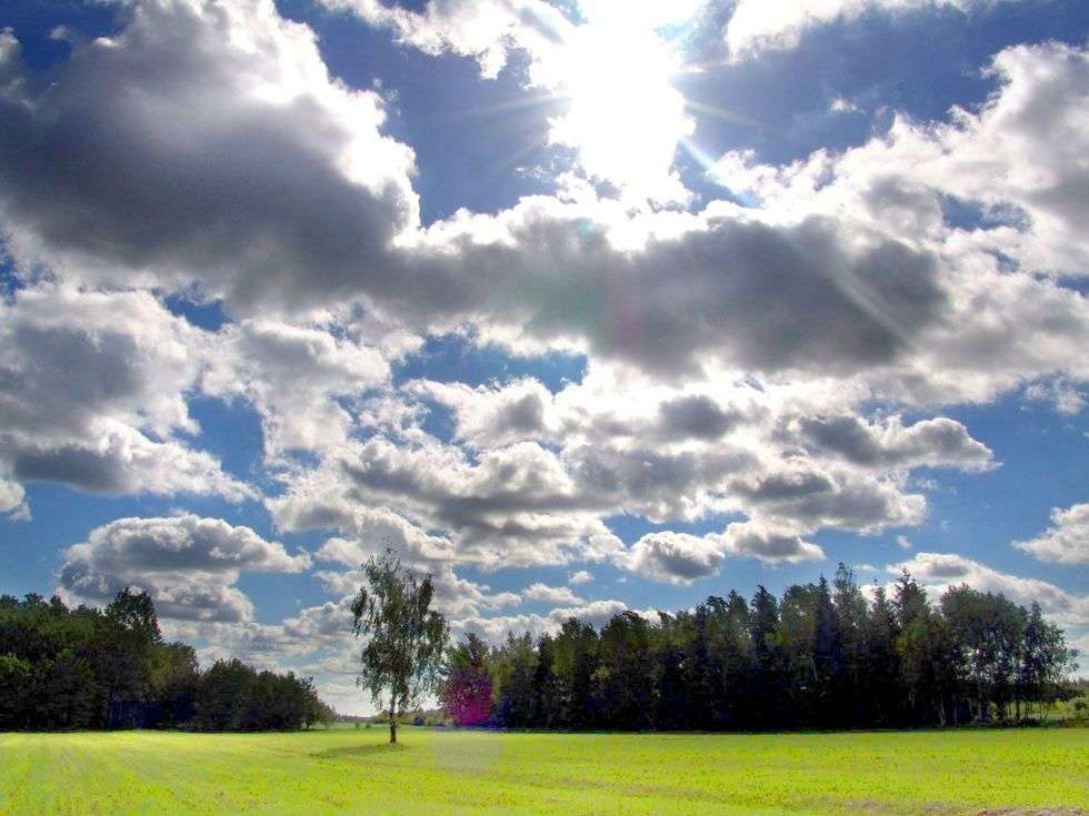  "Z glową w chmurach" (Pojezierze Lecynsko-Wlodawskie)

