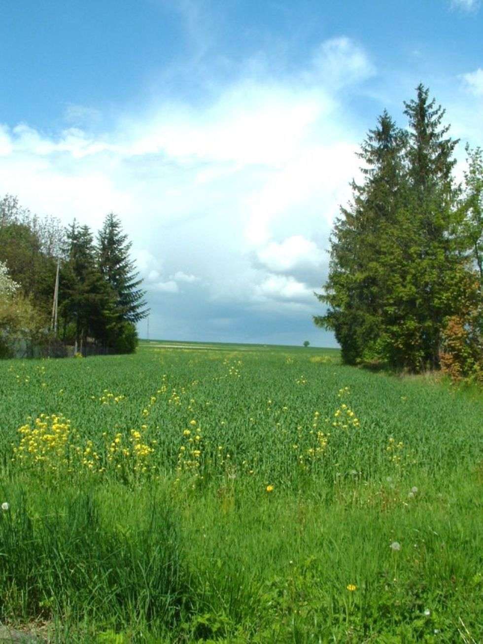  Okolice Orchowca i Równianek
