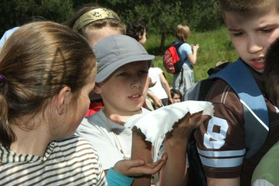  Majówka w Chodliku