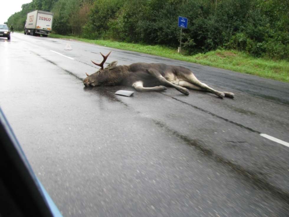 Zdjecie nadeslane przez internaute.
