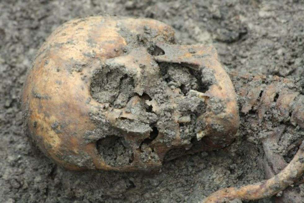  Archeolodzy odkopali kolejne szkielety