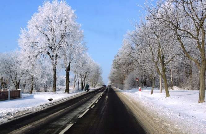 Zima w regionie - Autor: Karol Zienkiewicz