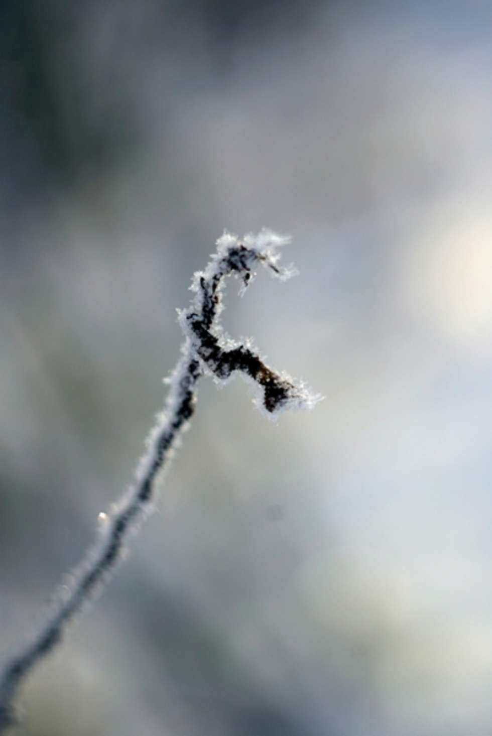  Zima w regionie  - Autor: Karol Zienkiewicz