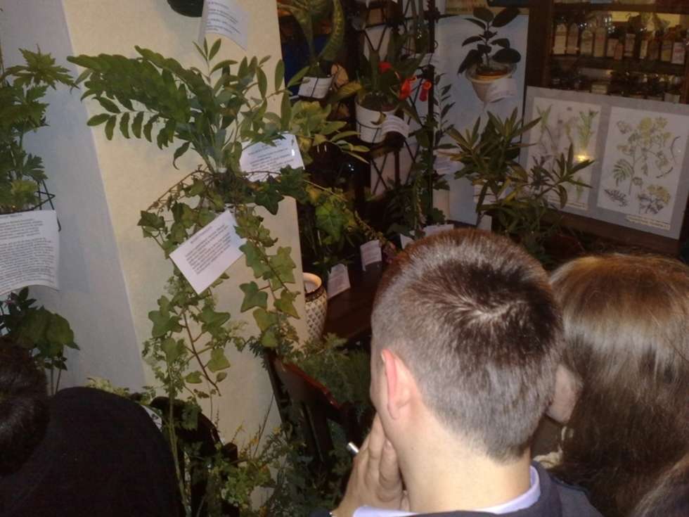  Apteka Muzeum. Wystawa roślin trujących.