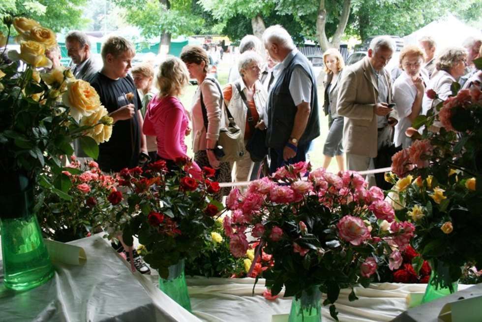  W sobote i niedziele w Konskowoli odbywalo sie Świeto Róz. 