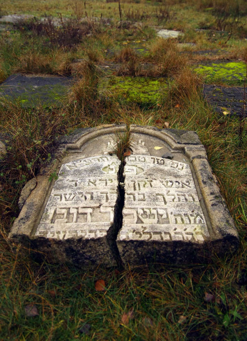  Cmentarz zydowski w Bilgoraju. Wy?lij SMS-a pod numer 71051, wpisuj?c: DW.MIEJSCE12
