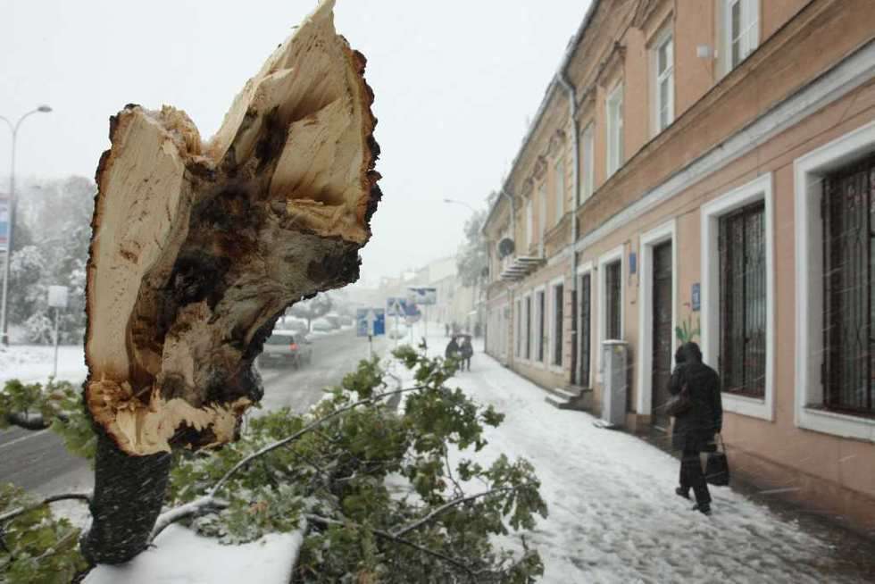  Pierwszy atak zimy. (zdjęcie 7) - Autor: Maciej Kaczanowski
