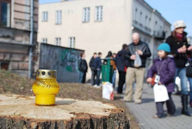 Protest przeciwko wycince drzew w Chełmie