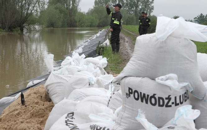 Powódź w gm. Annopol. - Autor: Maciej Kaczanowski