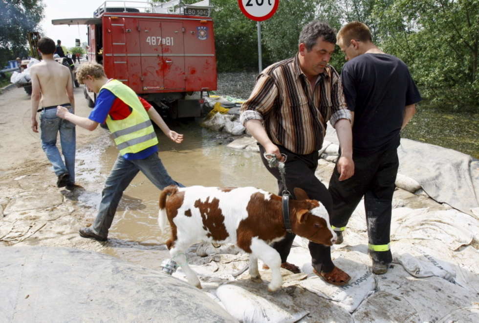  Powódź w m. Dobre (zdjęcie 2) - Autor: Dorota Awiorko-Klimek/MoDo