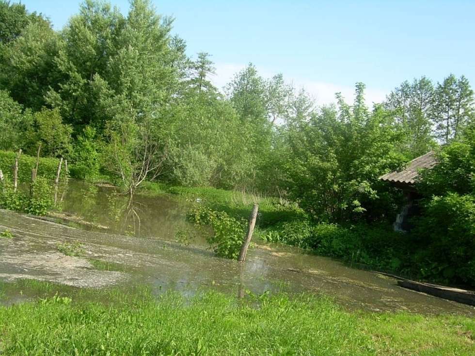  Woda w Zakrzowie w gminie Łaziska (zdjęcie 3) - Autor: Internautka Malgorzata