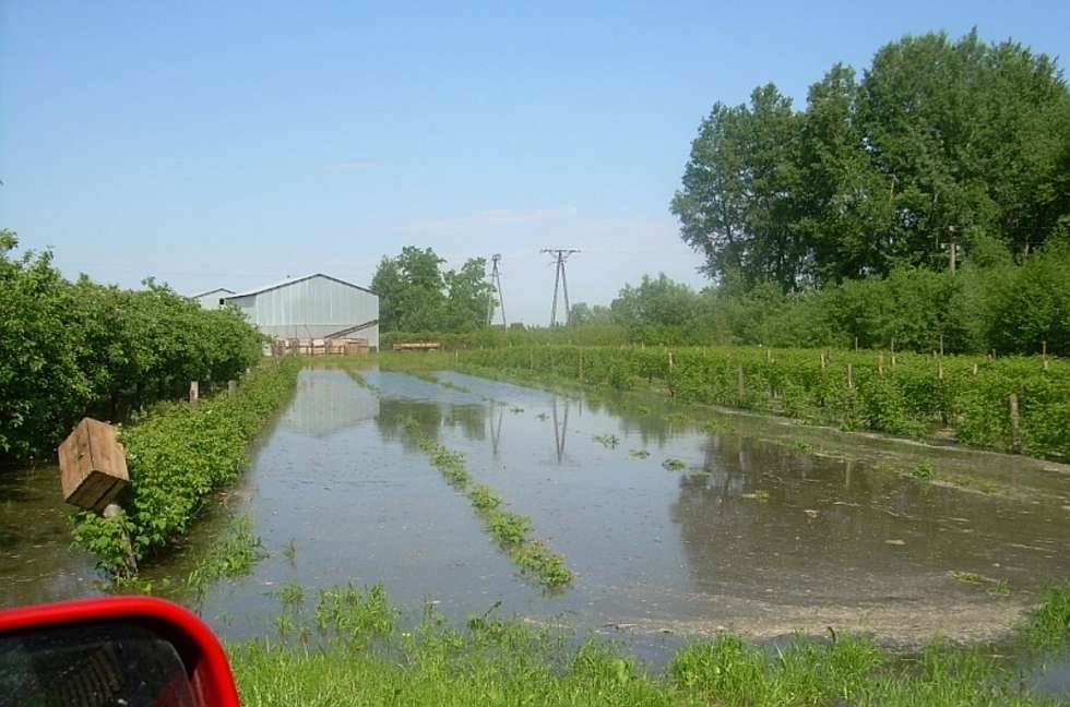  Woda w Zakrzowie w gminie Łaziska (zdjęcie 4) - Autor: Internautka Malgorzata