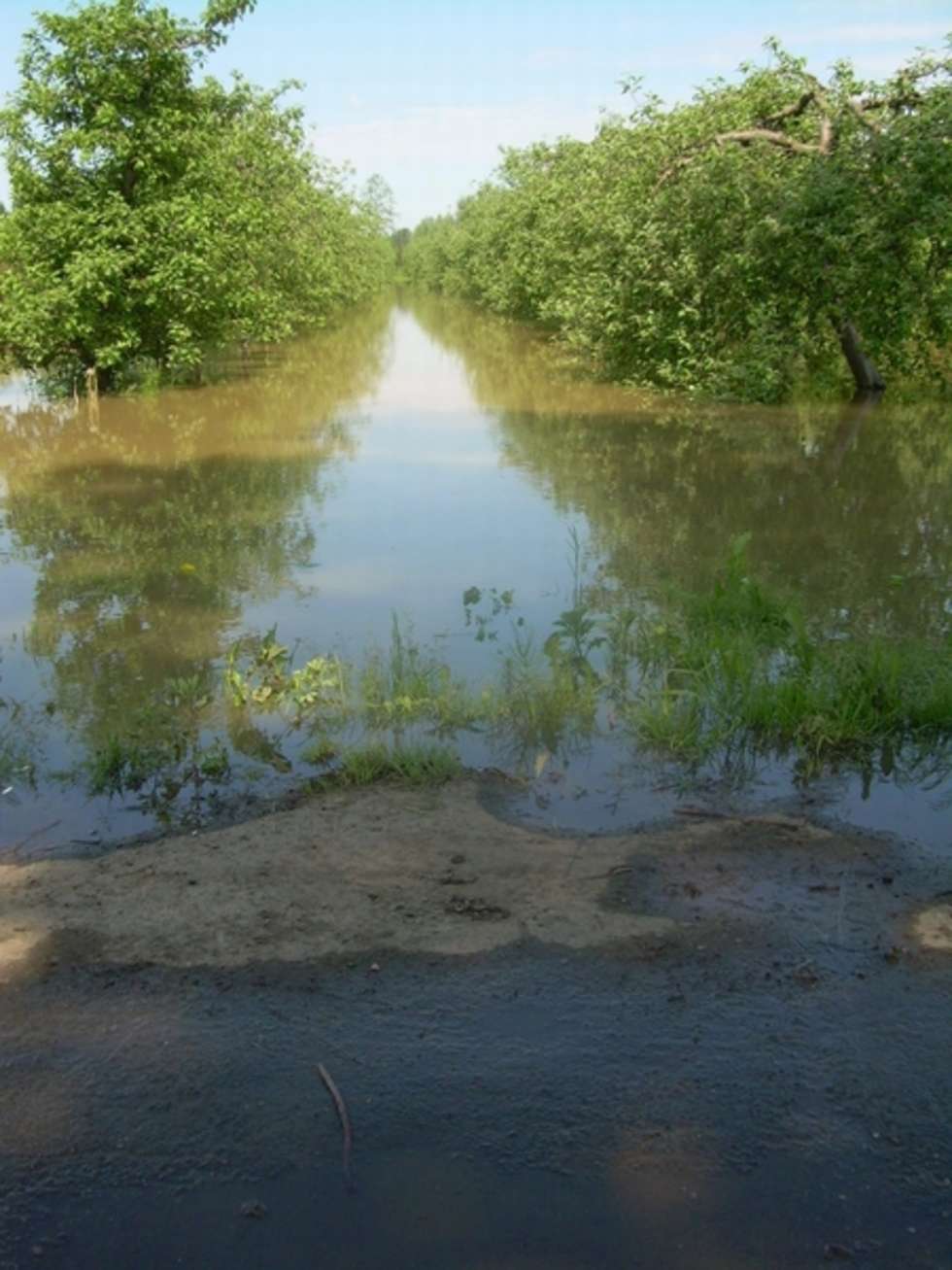  Woda w Zakrzowie w gminie Łaziska  - Autor: Internautka Malgorzata