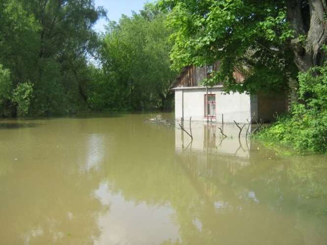Powódź i ewakuacja mieszkańców Rybitw w pow. opolskim - Autor: owca2-1989