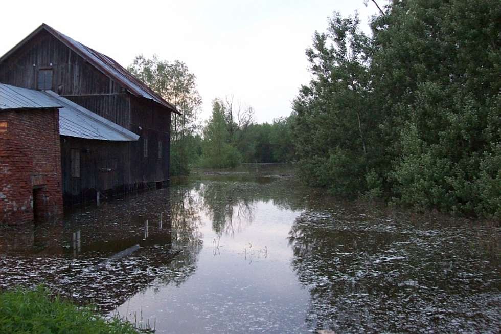  Powódź w Kolonii Szczekarków gm. Wilków (zdjęcie 2) - Autor: Marcin Sobanski