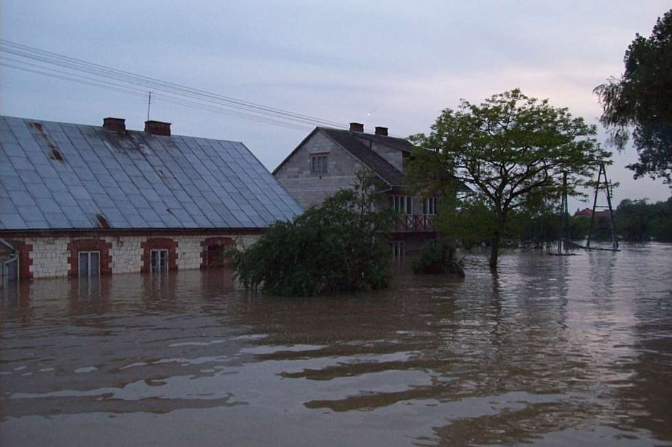  Powódź w Kolonii Szczekarków gm. Wilków  - Autor: Marcin Sobanski