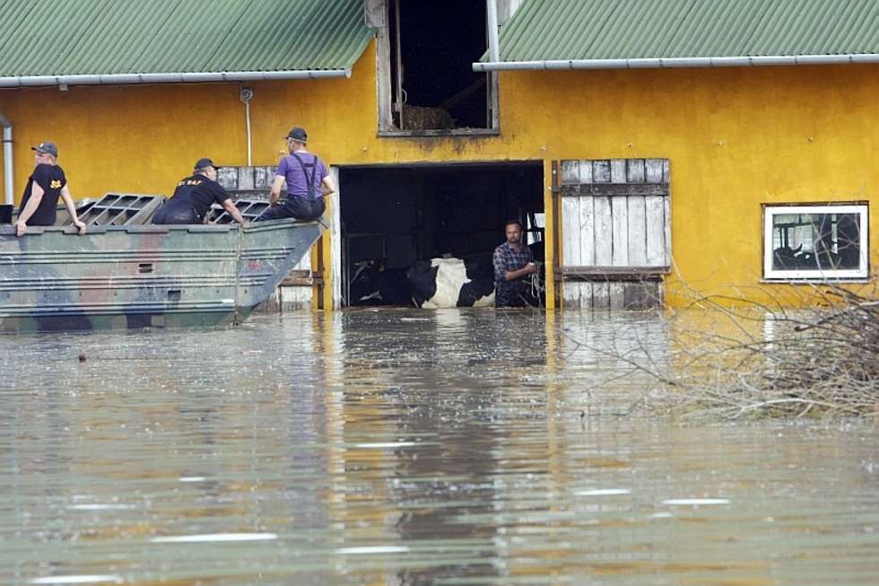  Powódź na Lubelszczyźnie (zdjęcie 6) - Autor: Dorota Awiorko-Klimek