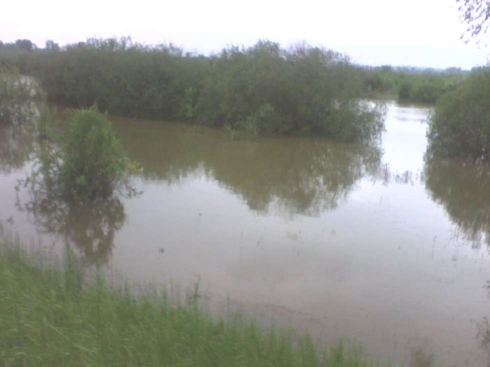  Wisla wylala w okolicach miejscowości Kopiec i Jakubowice w poblizu Annopola.