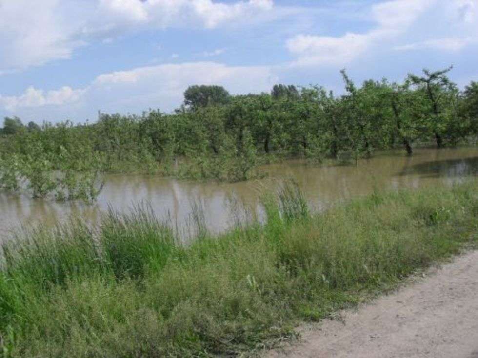  Powódź w powiecie opolskim (zdjęcie 1) - Autor: Magda
