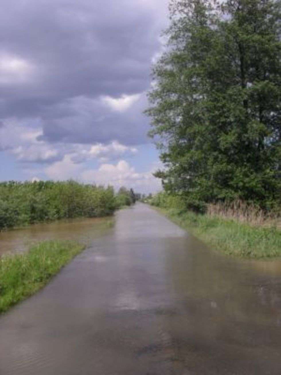  Powódź w powiecie opolskim (zdjęcie 2) - Autor: Magda