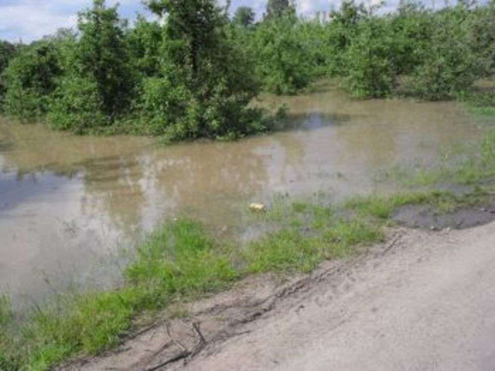  Powódź w powiecie opolskim (zdjęcie 3) - Autor: Magda