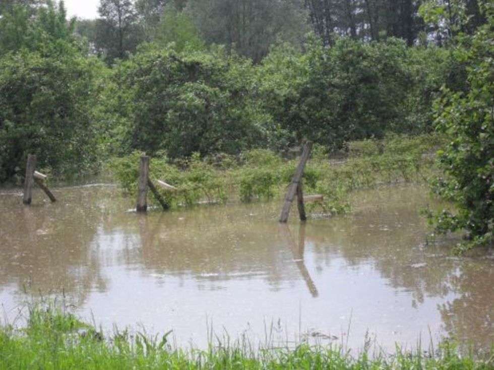 Powódź w powiecie opolskim  - Autor: Magda