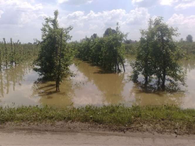 Powódź na Lubelszczyźnie - zdjęcia Internautów