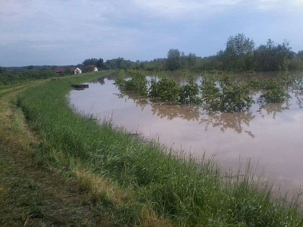  Powódź w Braciejowicach i Kępie Gosteckiej (zdjęcie 1) - Autor: Jarek Śpiewak