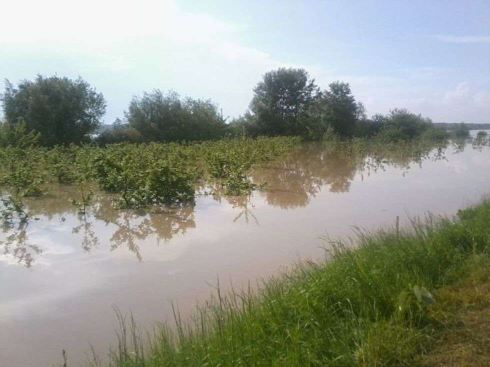  Powódź w Braciejowicach i Kępie Gosteckiej (zdjęcie 2) - Autor: Jarek Śpiewak