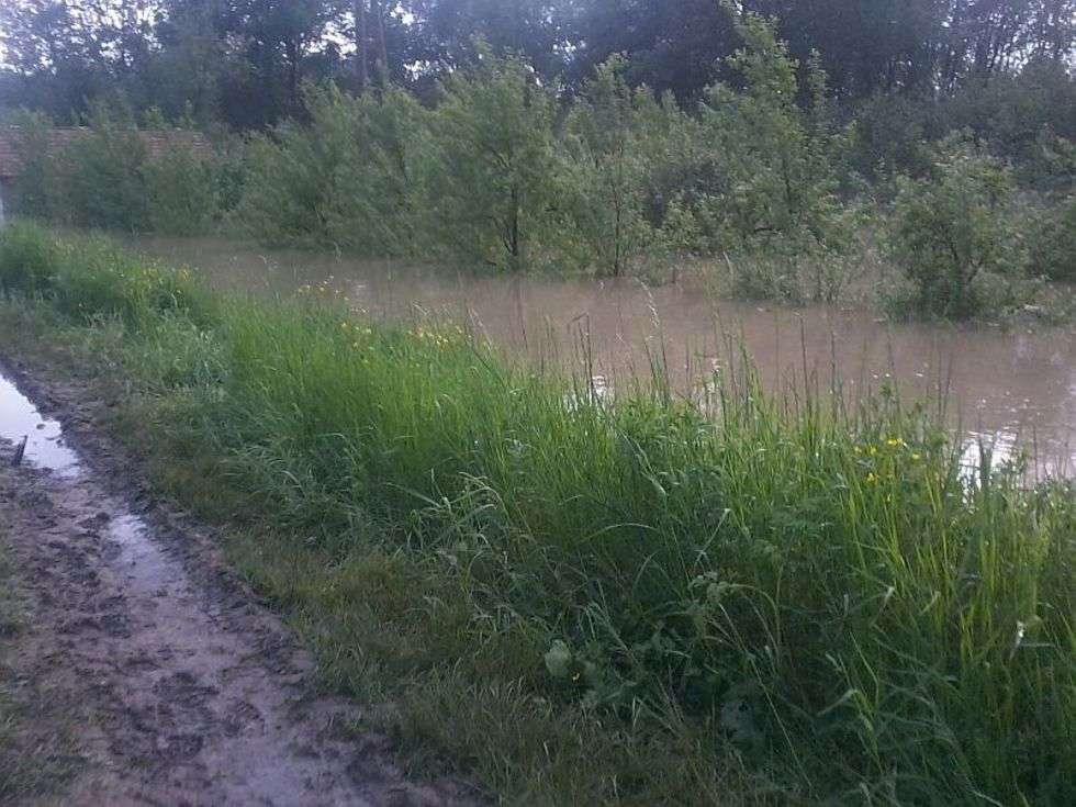  Powódź w Braciejowicach i Kępie Gosteckiej (zdjęcie 3) - Autor: Jarek Śpiewak
