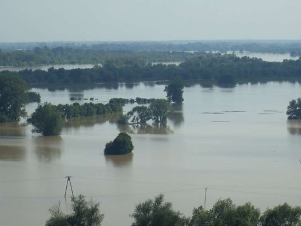  Powódź w Janowcu  - Autor: Kasia S.