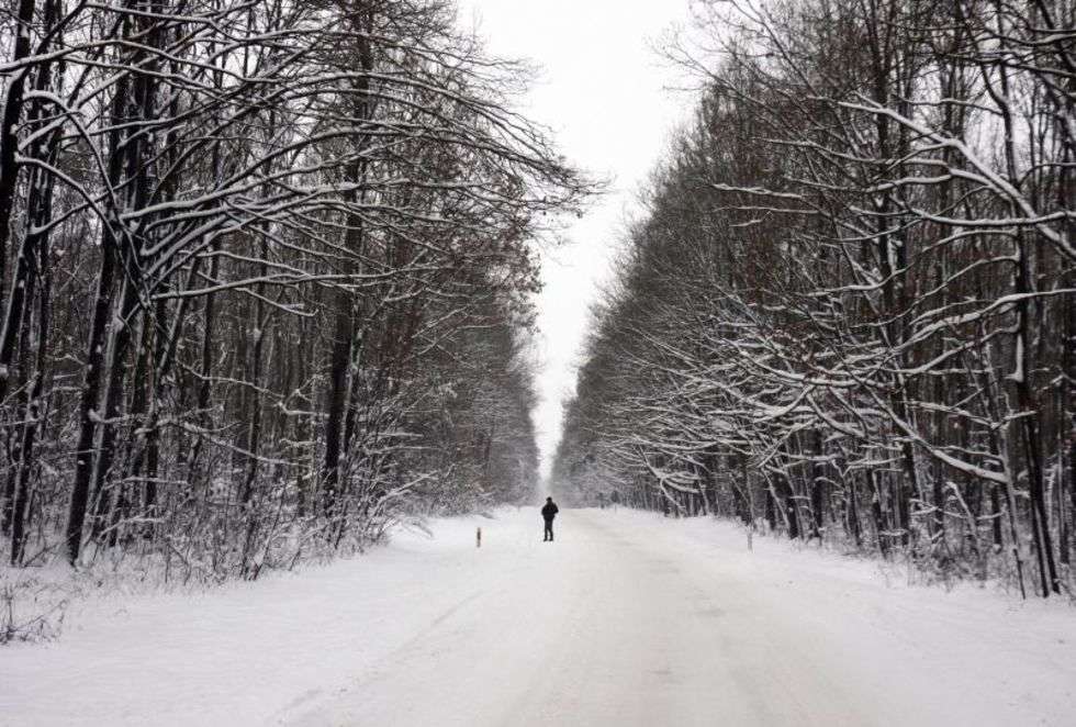  Zima na Lubelszczyznie (zdjęcie 6) - Autor: Jacek Świerczynski