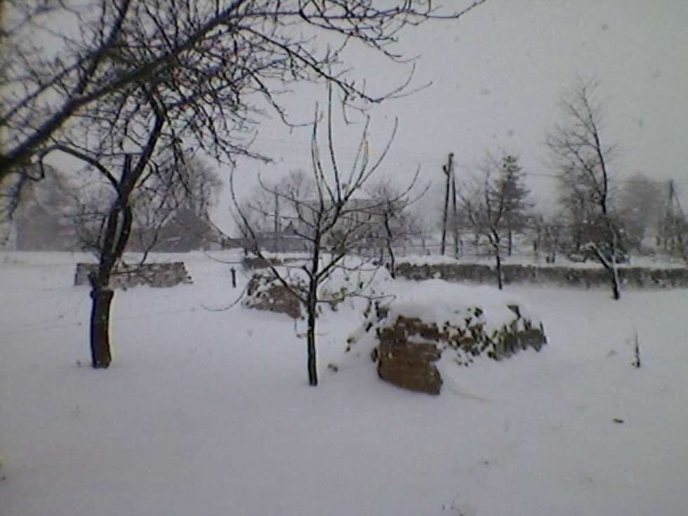  Ostre opady śniegu w Czerniecinie (pow.Bilgorajski) 3 grudnia 2010 okolo godziny 12.00