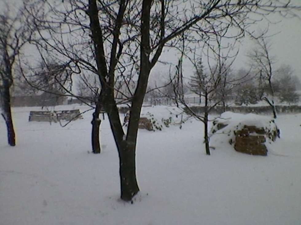  Ostre opady śniegu w Czerniecinie (pow.Bilgorajski) 3 grudnia 2010 okolo godziny 12.00



