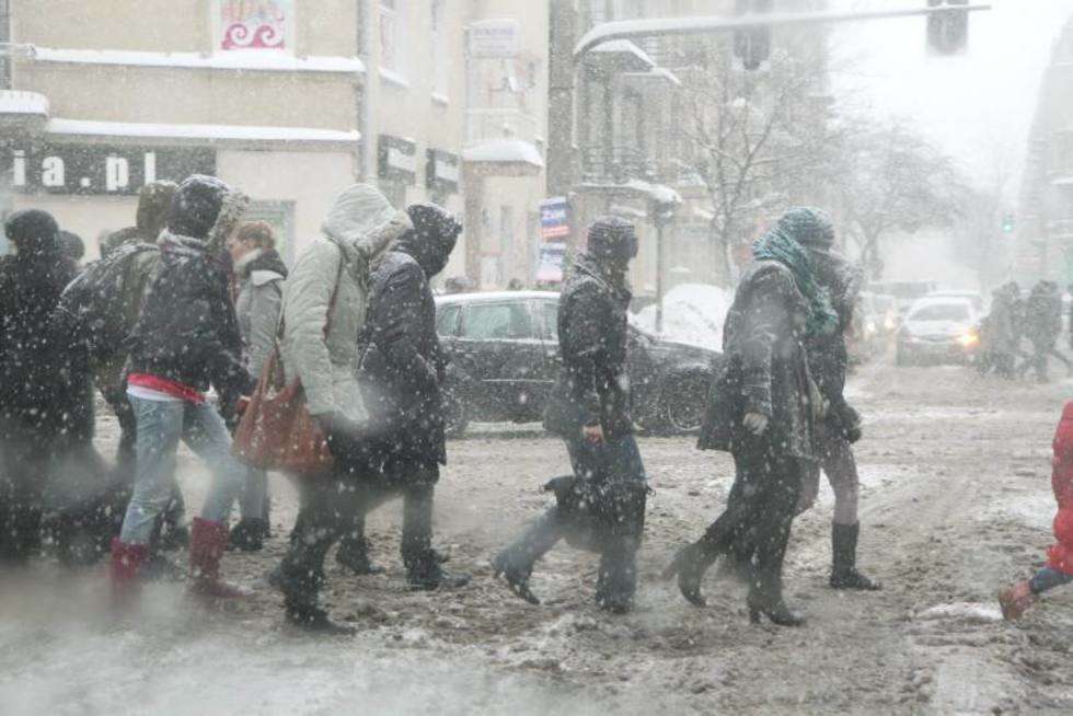  Zima w Lublinie nie odpuszcza. (zdjęcie 7) - Autor: Maciej Kaczanowski