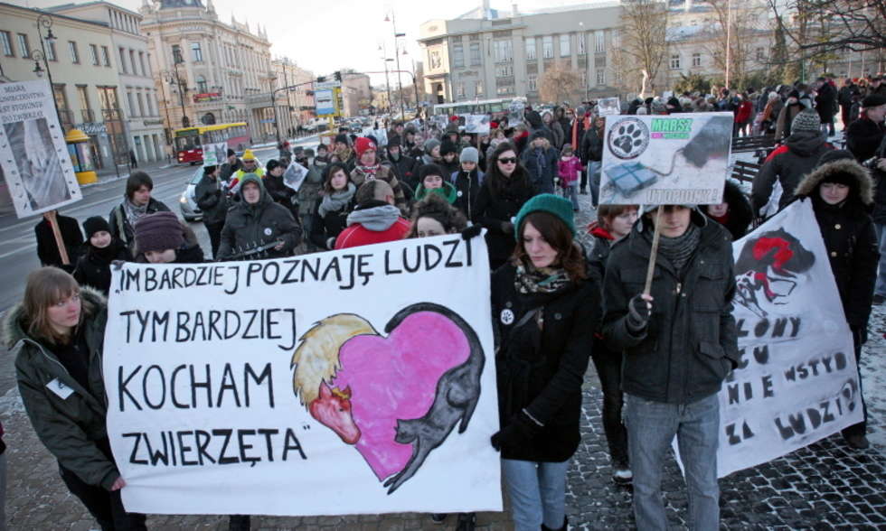  Marszu (NIE)Milczenia W Lublinie czyli protest przeciwko okrucienstwu ludzi wobec czworonogów.