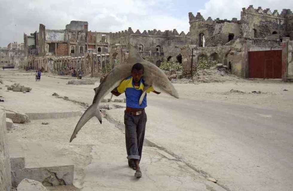 1st Prize Daily Life Single
Man carries a shark through the streets of Mogadishu, Somalia, 23 September