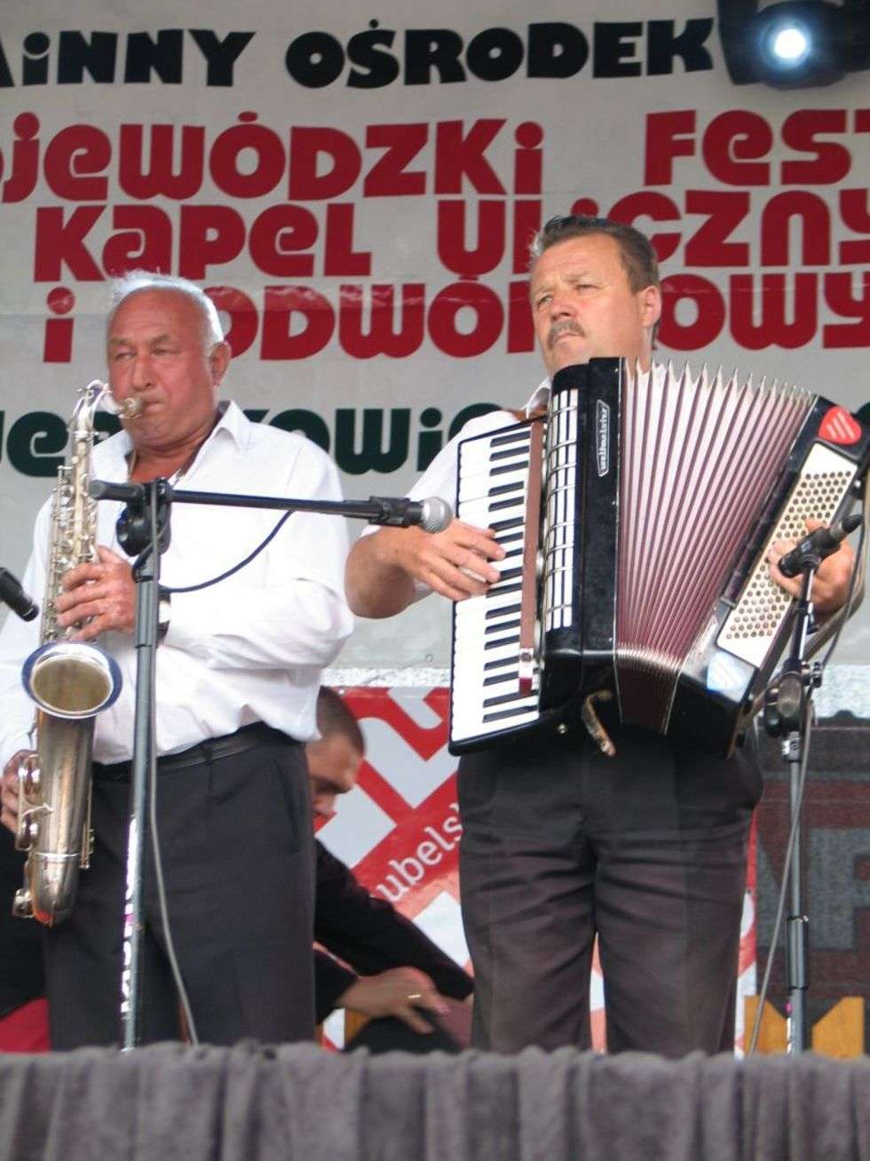  Festiwal Kapel Podwórkowych - Werbkowice 2011