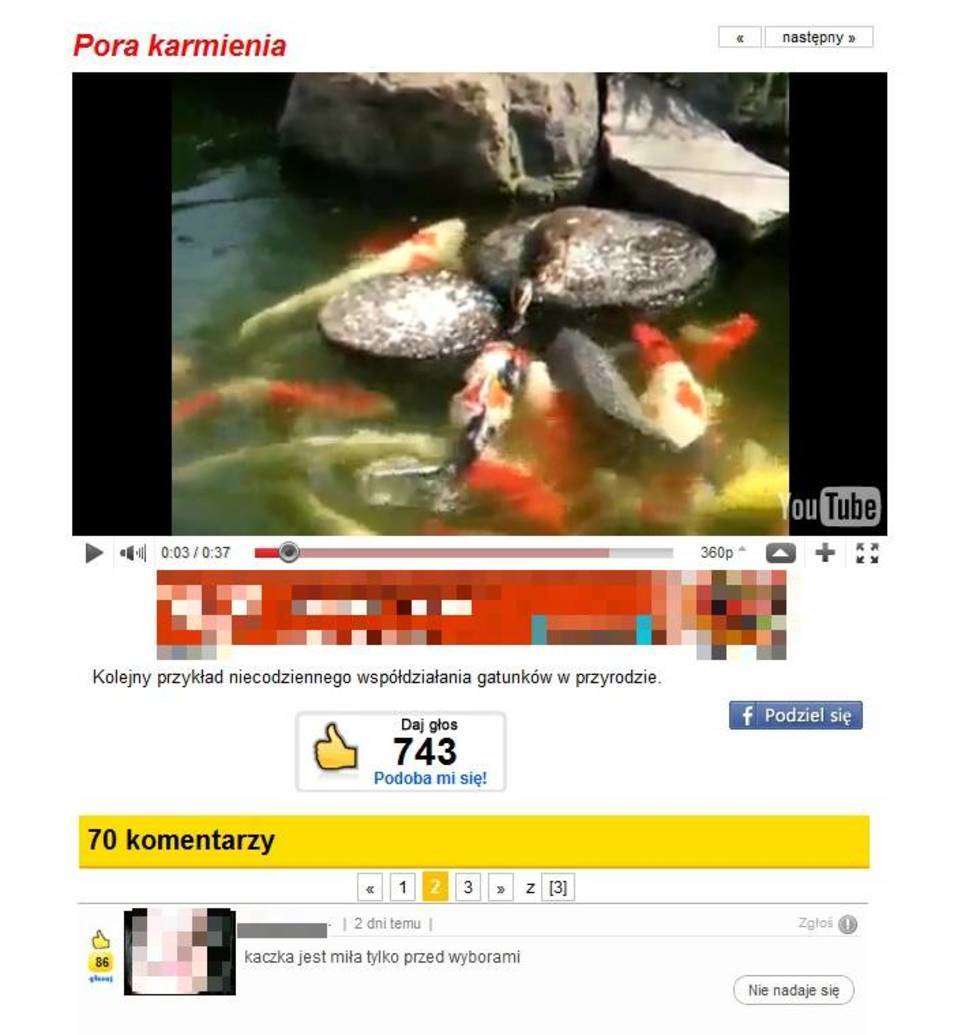 Niektórzy Internauci nawet na filmie kaczki karmiącej ryby widzą polityke i polityków.