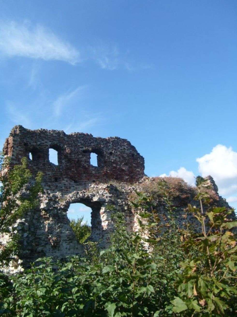  Rowerem przez rezerwaty przyrody. Ruiny zamku w Bochotnicy