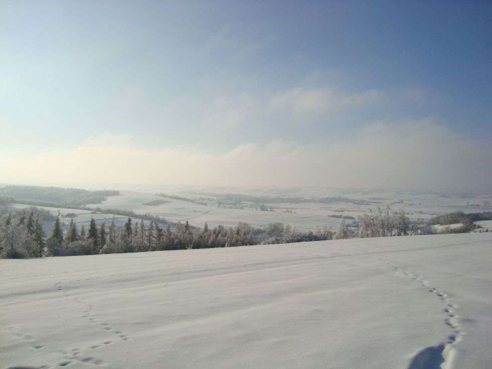  Centralny Szlak Rowerowy Roztocza. Widok na Roztocze zimą (ok. Gorajca)  z trasy rowerowej