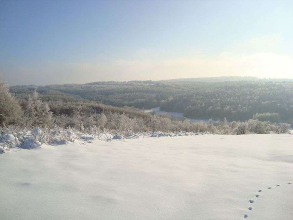  Centralny Szlak Rowerowy Roztocza. Widok na Roztocze Zimą (Szczebrzeszyński Park Krajobrazowy) z trasy rowerowej - na dole widać również cześć naszej trasy