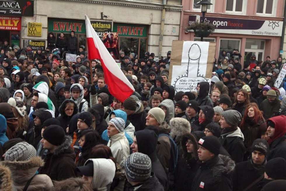  Protest przeciwko ACTA przed Ratuszem w Lublinie (zdjęcie 8) - Autor: Wojciech Nieśpiałowski
