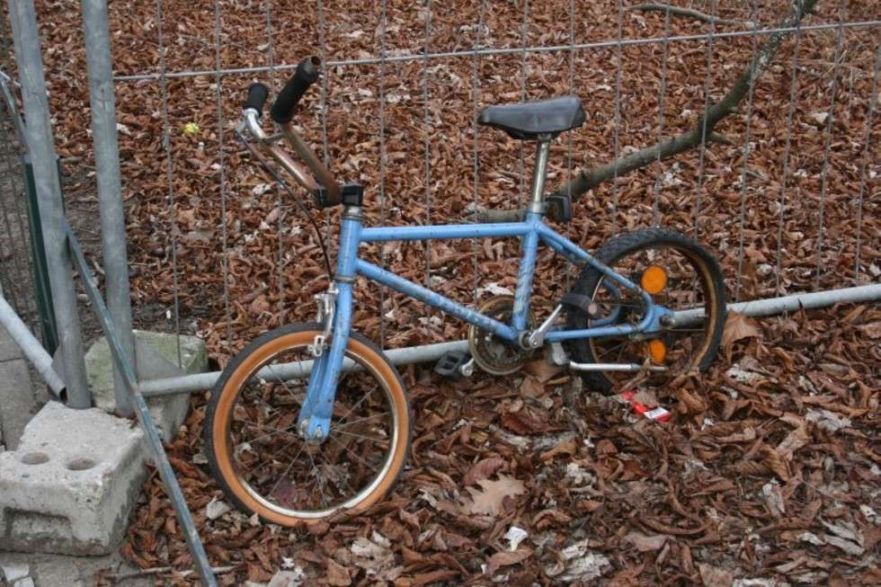  Porzucane są nie tylko rowery dla dorosłych, ten dziecięcy rowerek leży nieopodal ogrodu zoologicznego