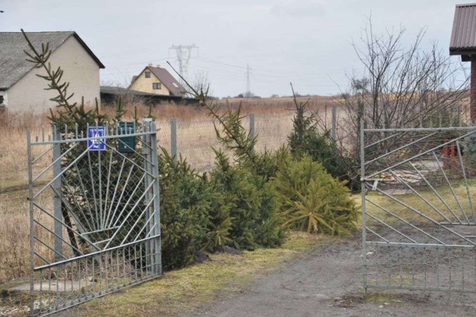  Domy do wyburzenia pod obwodnicę Lublina (zdjęcie 7) - Autor: Jerzy Szubiela