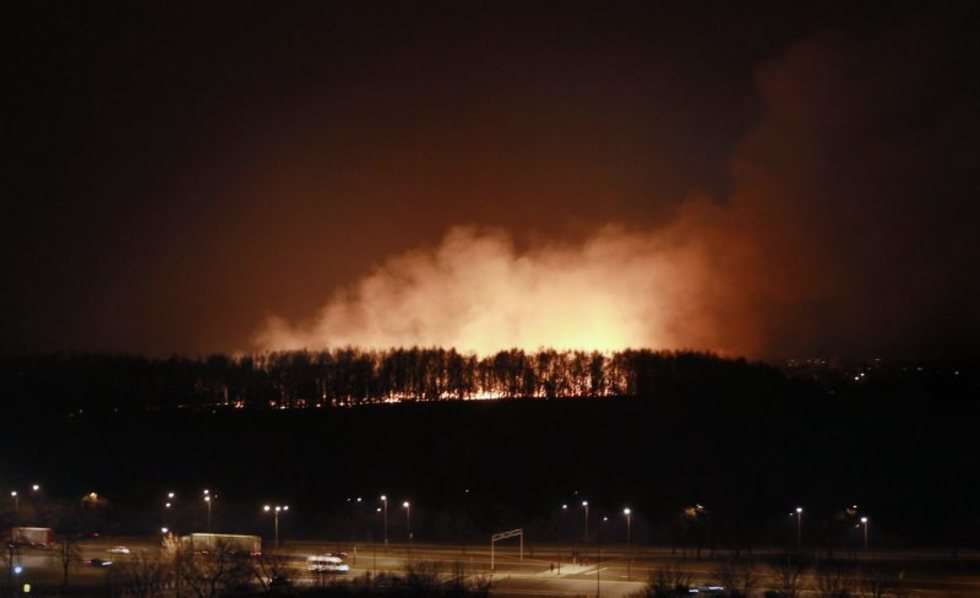  Pożar traw na górkach czechowskich (zdjęcie 2) - Autor: Wojciech Nieśpiałowski