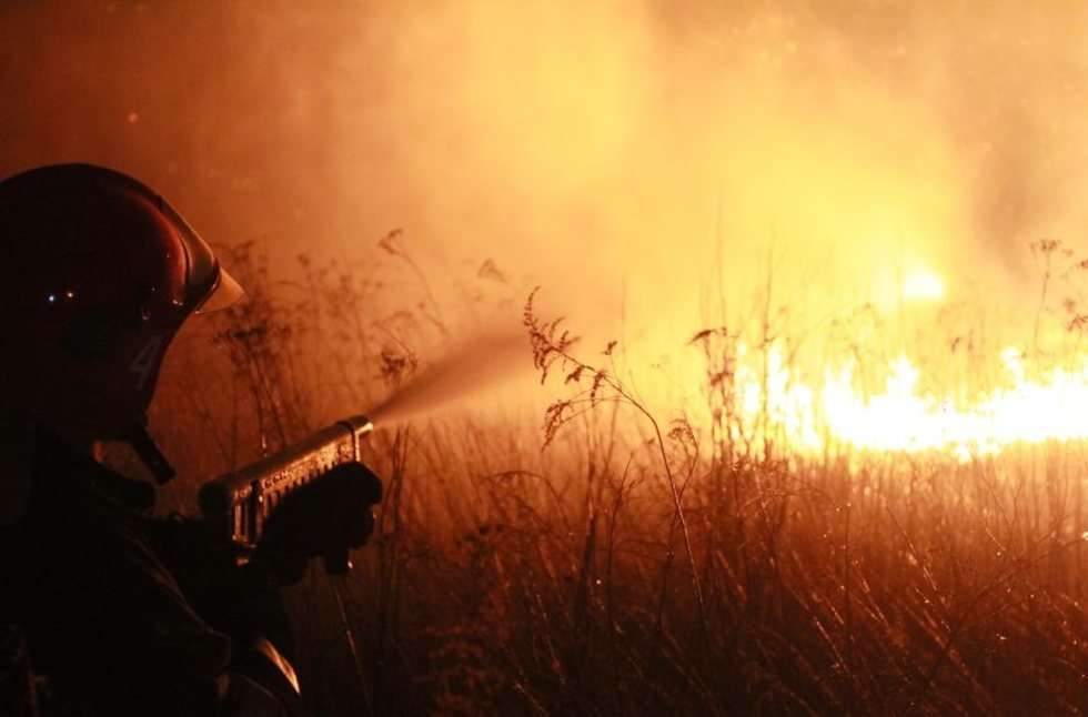  Pożar traw na górkach czechowskich (zdjęcie 3) - Autor: Wojciech Nieśpiałowski