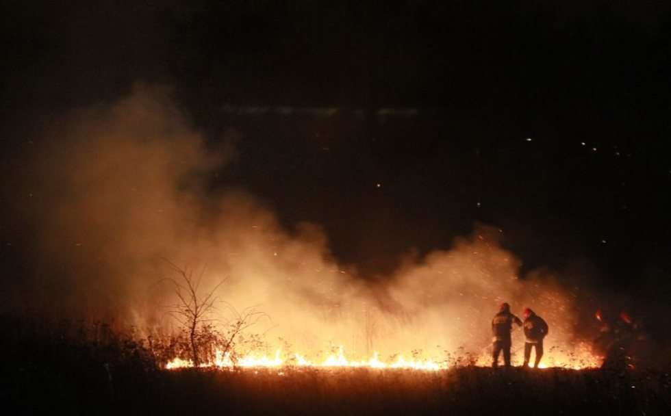  Pożar traw na górkach czechowskich (zdjęcie 5) - Autor: Wojciech Nieśpiałowski